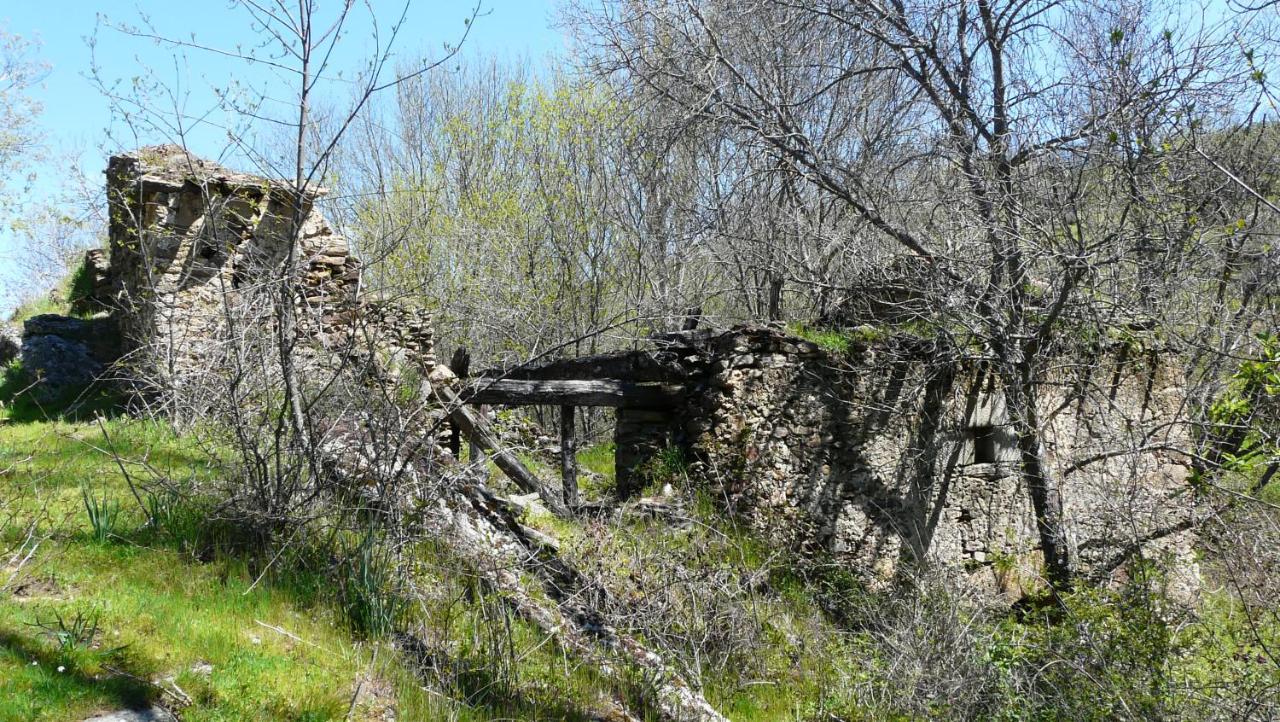 El Huerto De Leon Villa Prádena del Rincón Kültér fotó