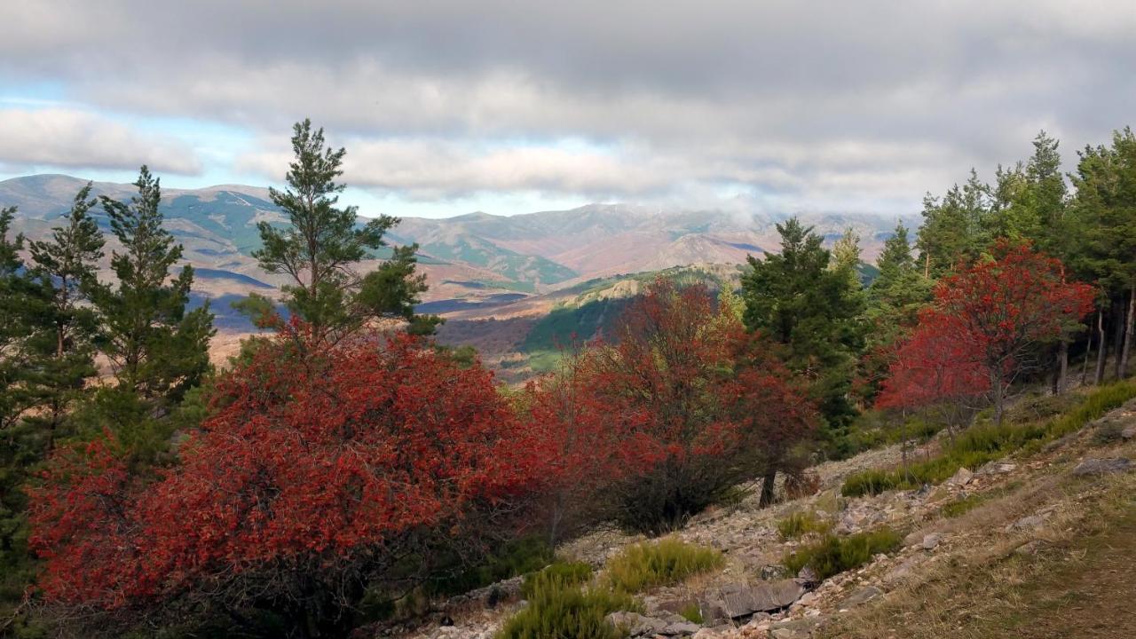 El Huerto De Leon Villa Prádena del Rincón Kültér fotó